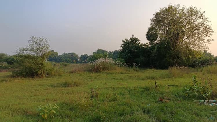 Punjai Land For Sale