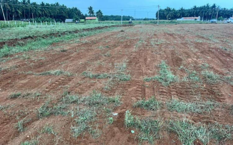 1 Acre Land for Sale