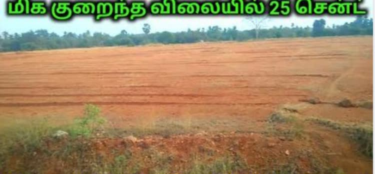 25 Cent land for sales