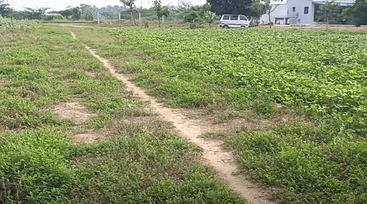 Single Property Image