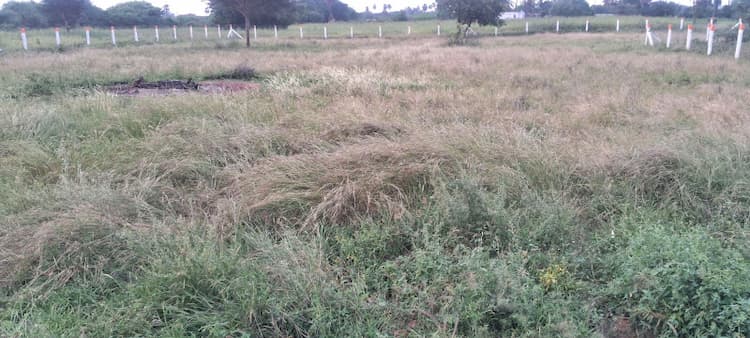 80 cent Road Face land for Sale