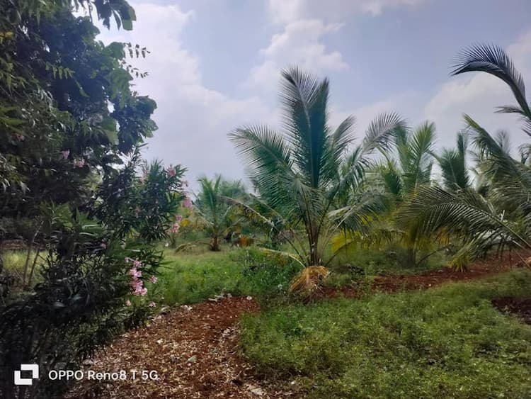 Farm LAnd For Sale