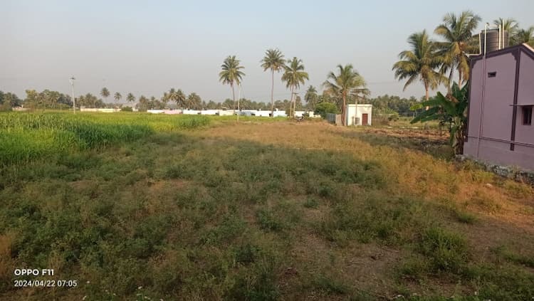 Land for sales