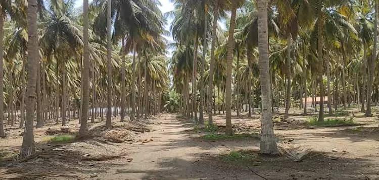 Single Property Image