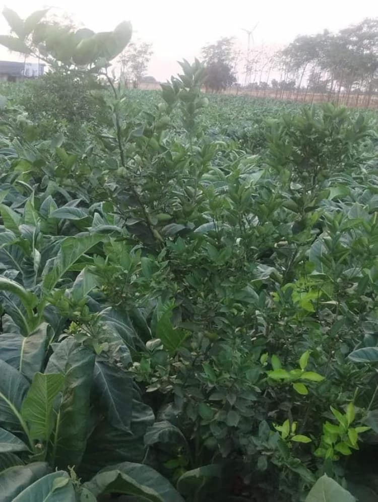 Single Property Image