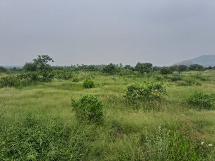 Low Budget Land for Sale