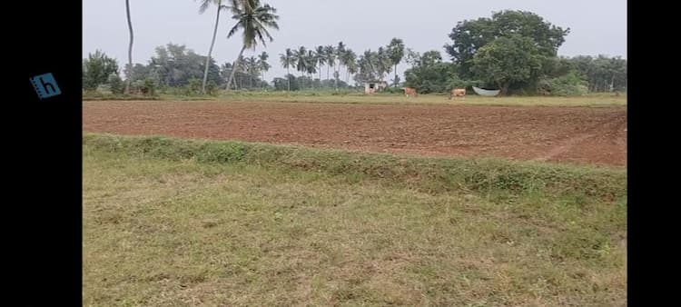 Red Soil Agric Land sale in Kanchipuram