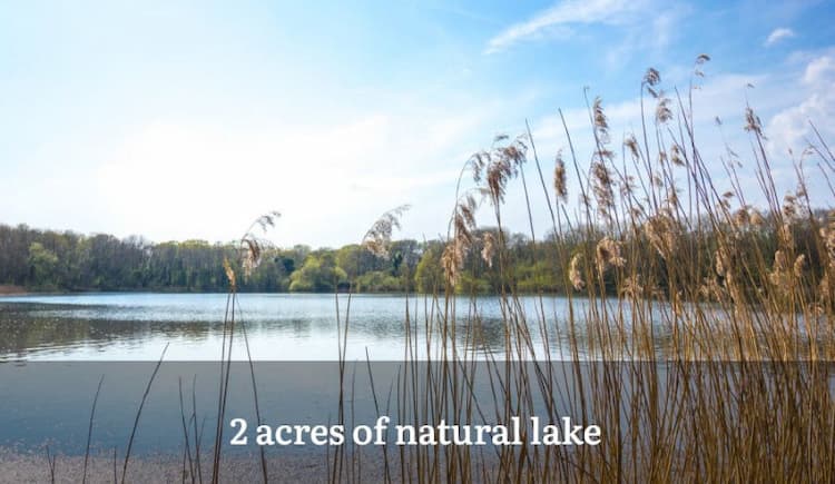 Madhuvan Farms Agricultural Land