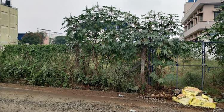 25 Cent Land for Sale