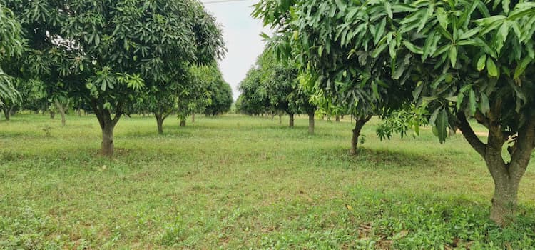 Single Property Image