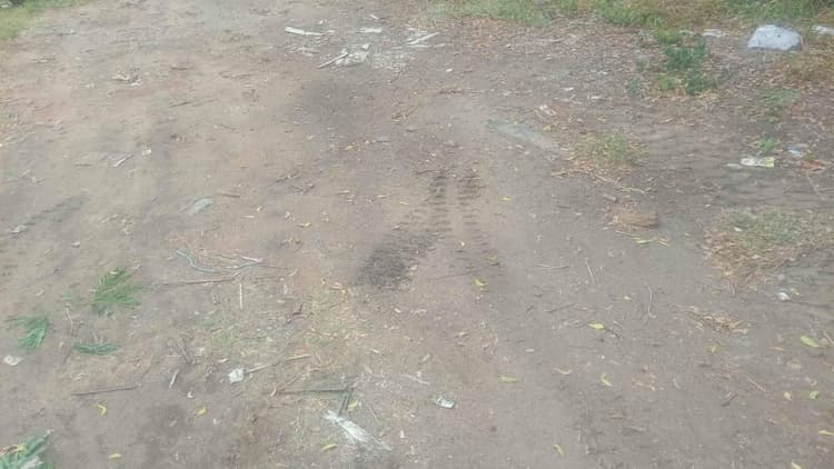 11 Cent Land for Sale