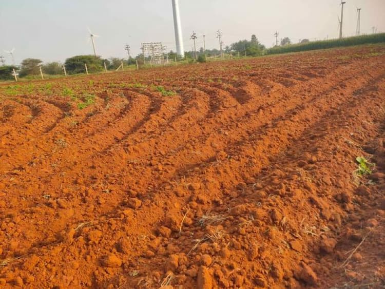 Agriculture Land For Sale