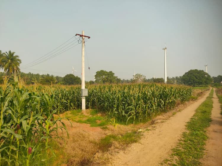 3 Acre Land for Sale