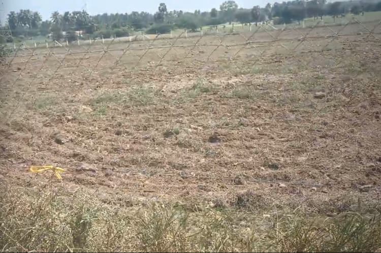 50 Cent Land for Sale