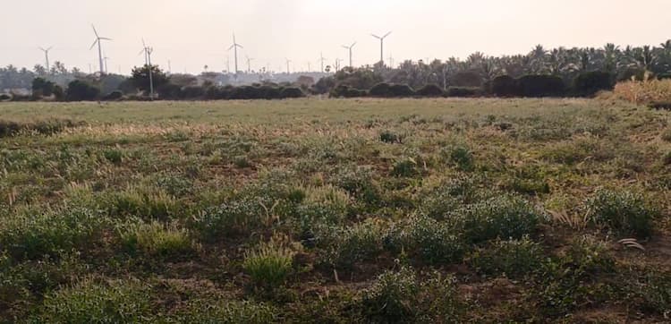 4.67 Acre Land for Sale