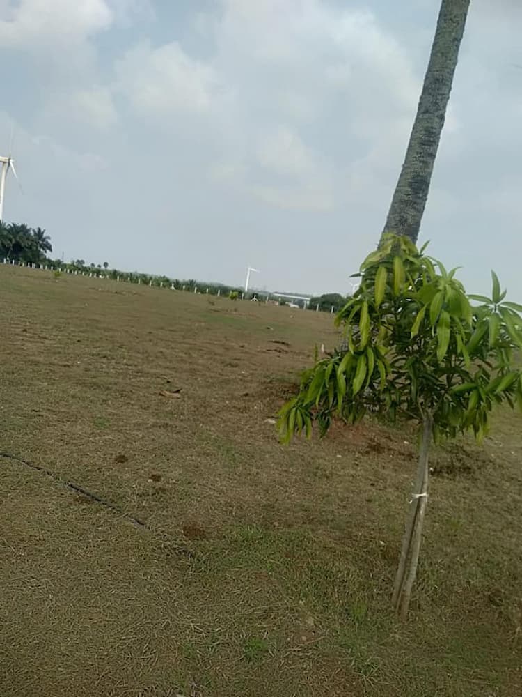 farm land for sale