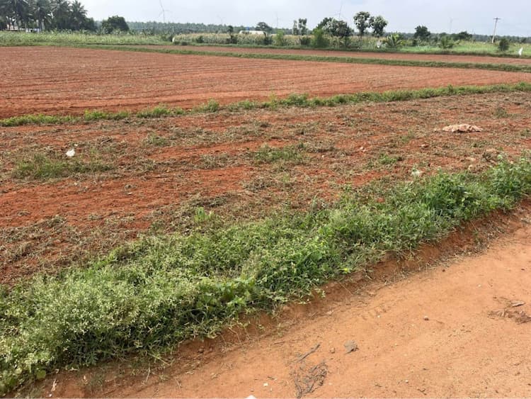 40 Cent Land for Sale