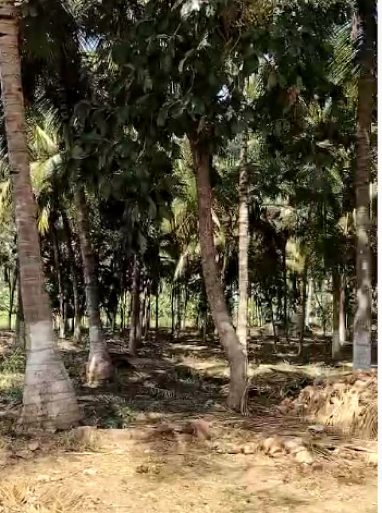 1.50 acre land for sales