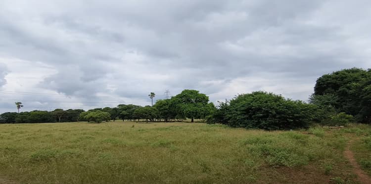 Low Budget Land for Sale