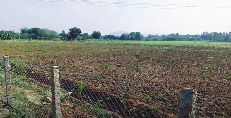 Agri Land For Sale