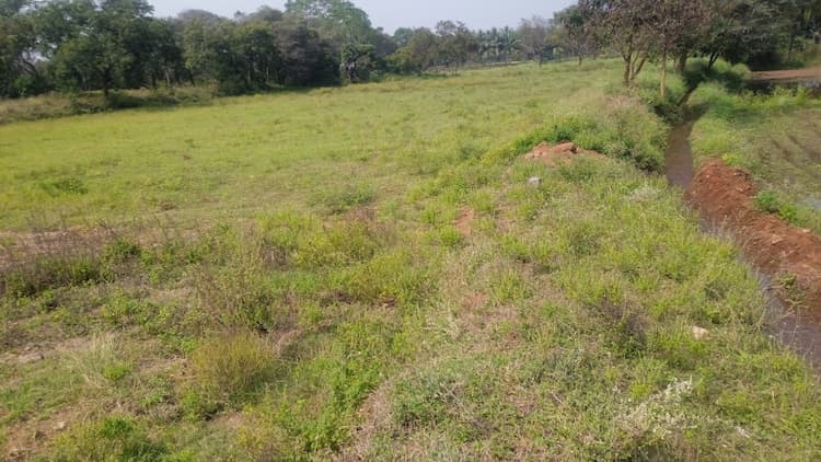 2.90 Acre Land for Sale