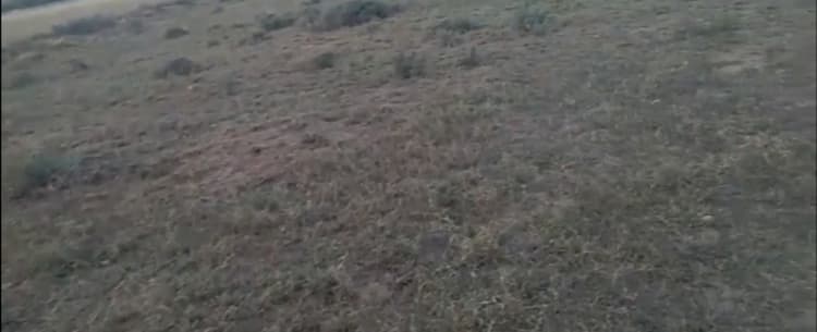 1.26 Acre Farm Land for Sale in Kundadam