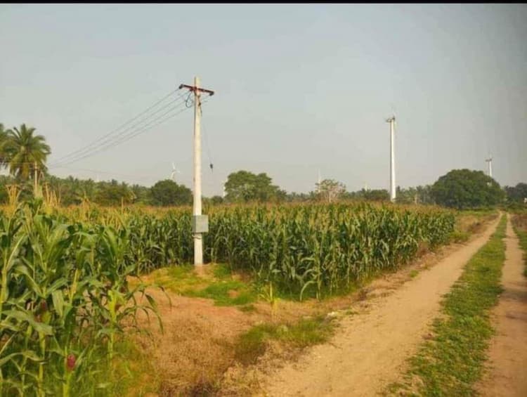 Single Property Image