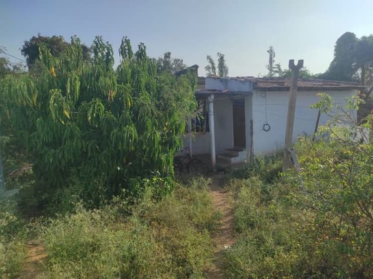 Land with Old House for Sale