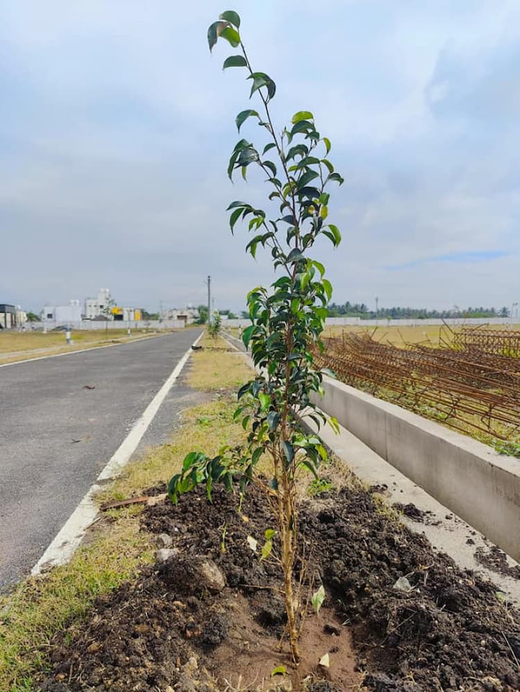 Single Property Image