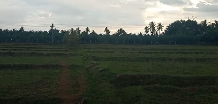 Single Property Image