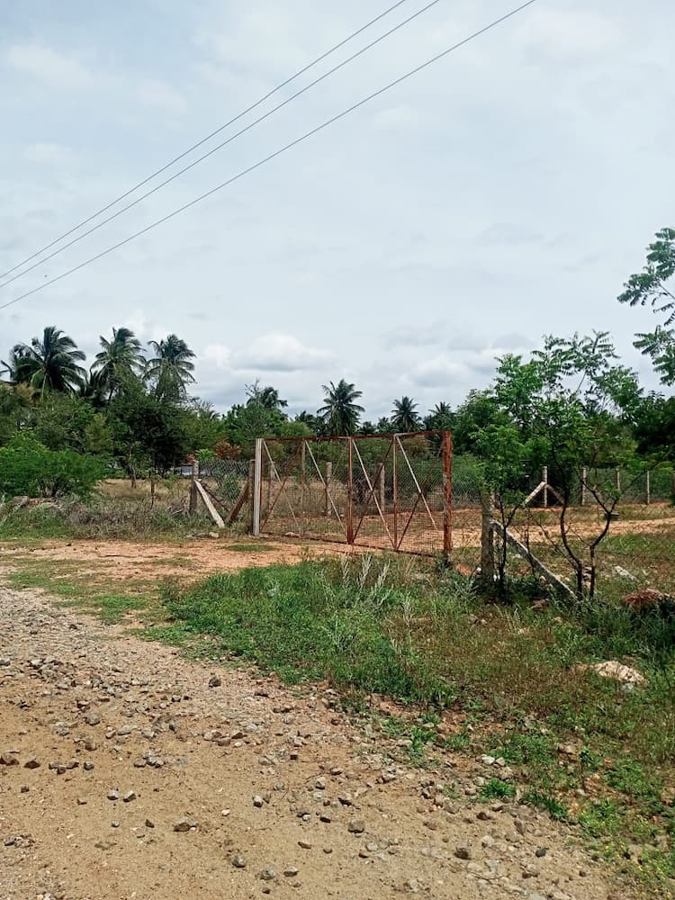 Single Property Image