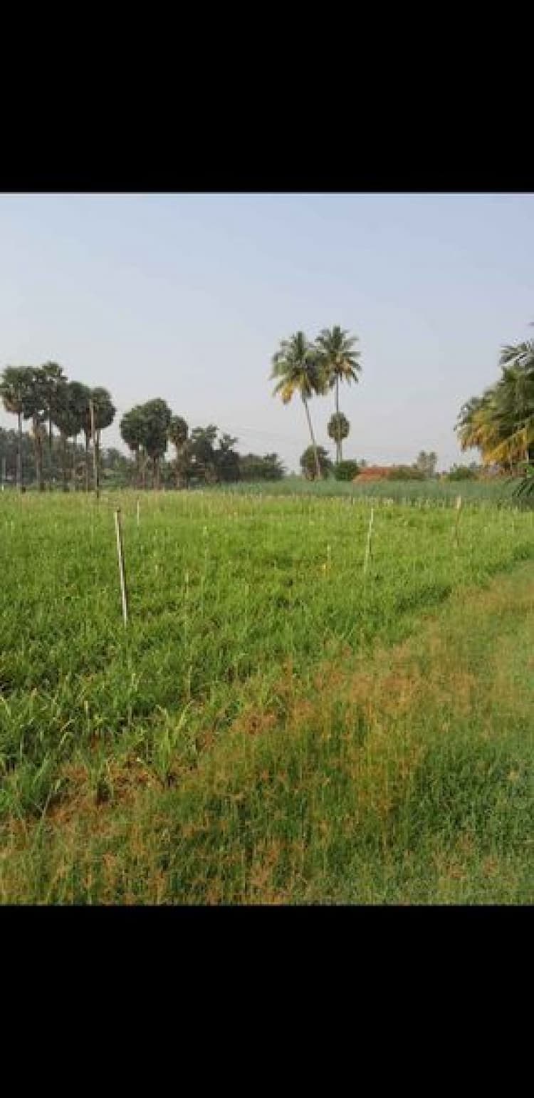 2.14 Acre land for sales