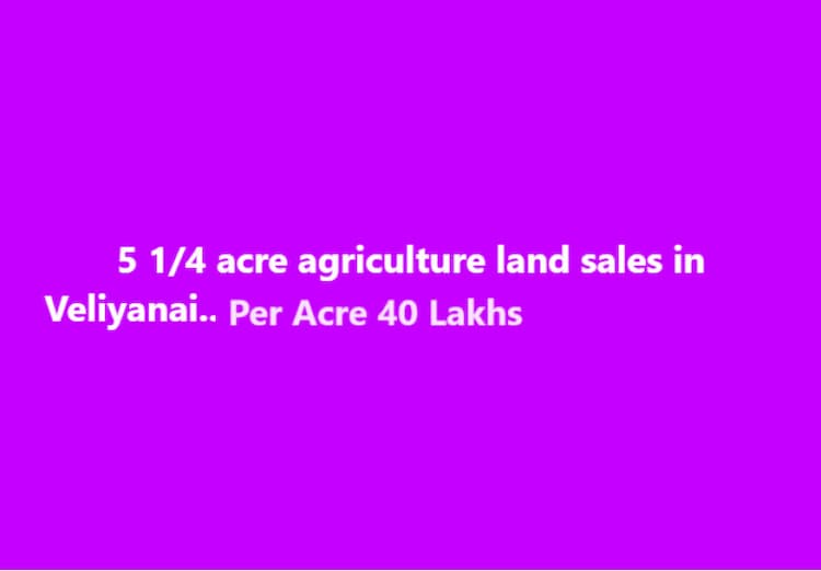 Agri Land For Sale