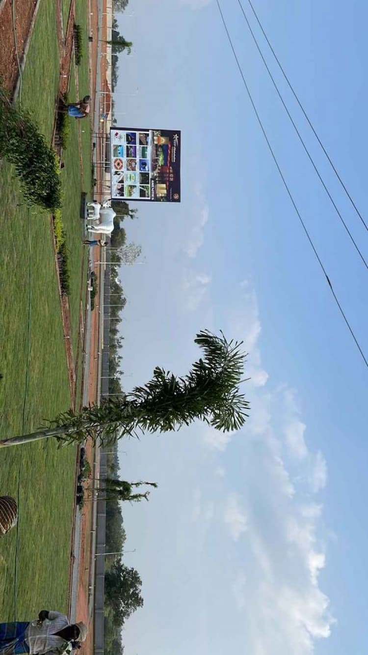 Single Property Image