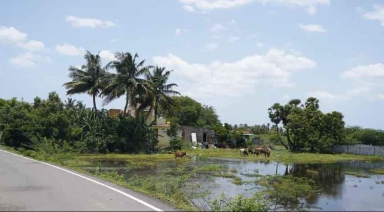 Single Property Image