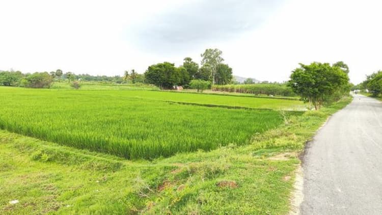 Single Property Image