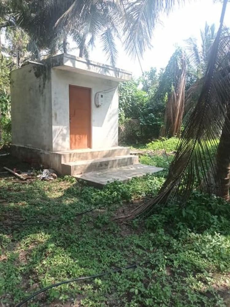 1 ACRE coconut for for land