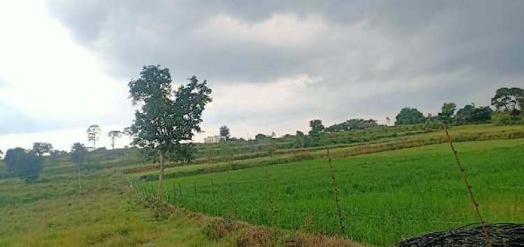 Agricultural Land