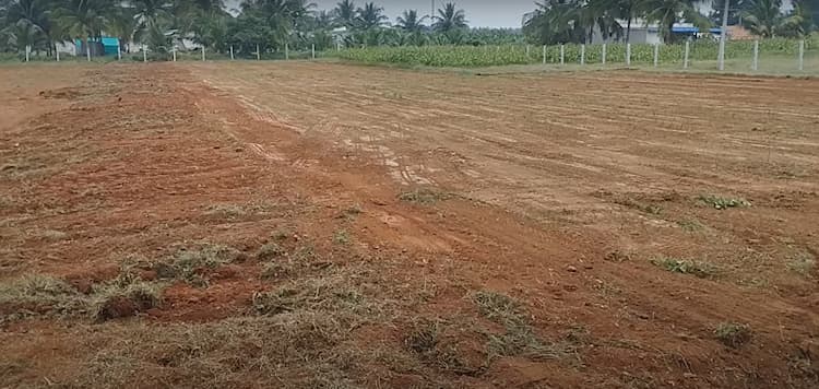2 Acre Farm for Sale in Salaipufhur