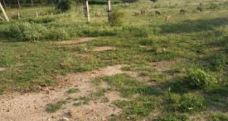 15 cent land for sales