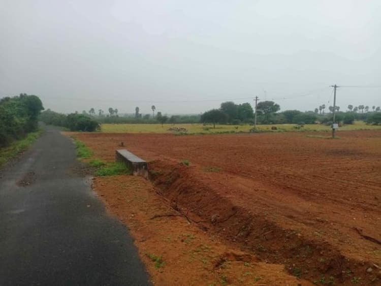 Red Soil LAnd For Sale