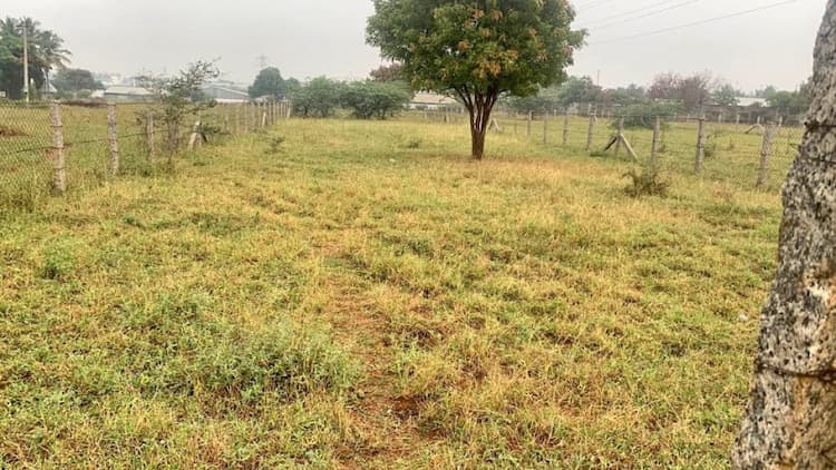 25 Cent Land for Sale