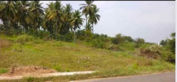 6600sq ft Empty Land for Rent