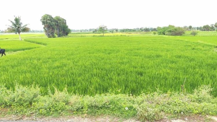 Single Property Image