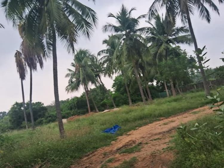 1.5 Acre land for sales