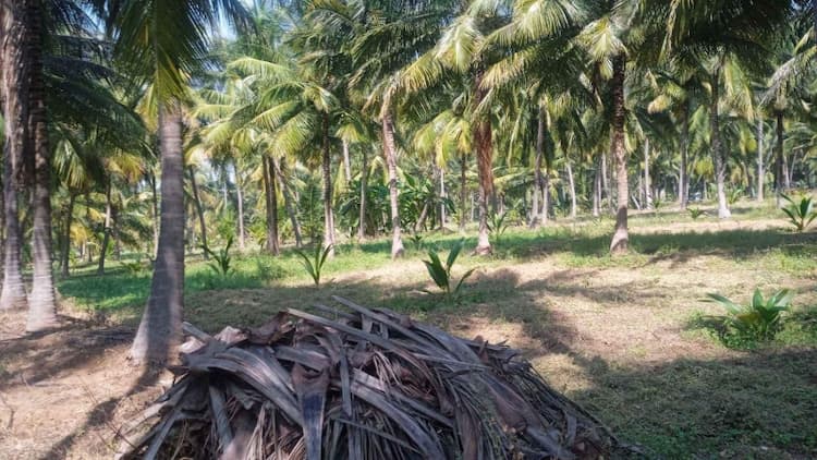 3 Acre Land for Sale