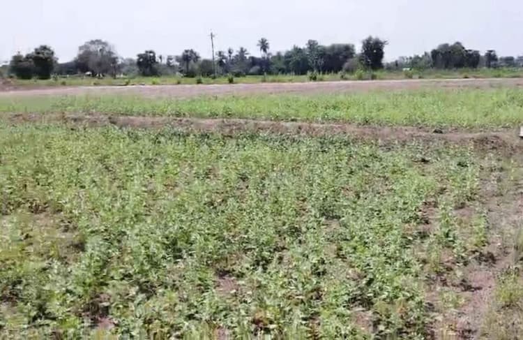 Land for sale near Melmaruvathur.