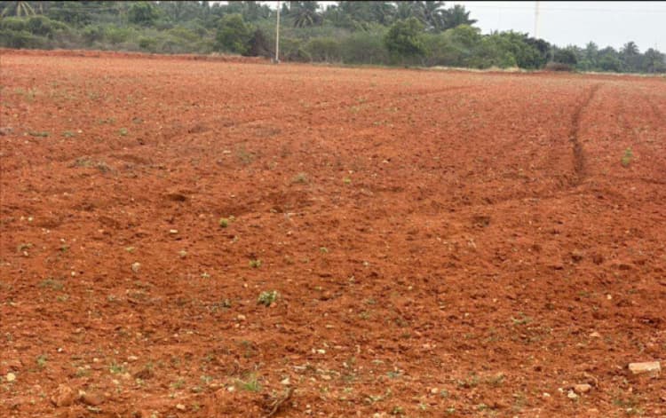 2 Acre Land for Sale in Periyapatti