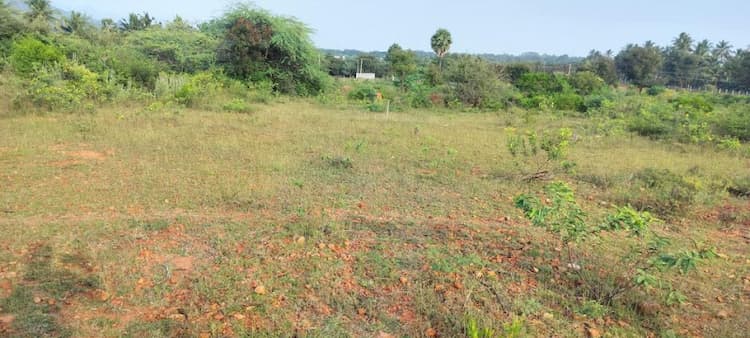 2 Acre for sales