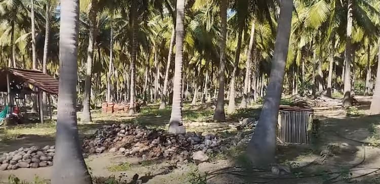 1.90 Acre Land with 1 BHK House